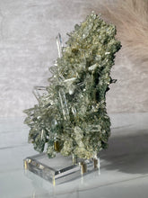 Load image into Gallery viewer, Collectors&#39; Himalayan Quartz Cluster Y
