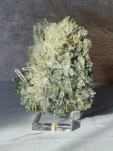 Load image into Gallery viewer, Collectors&#39; Himalayan Quartz Cluster Y
