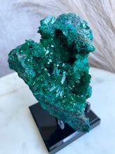 Load image into Gallery viewer, High Grade Dioptase Specimen O
