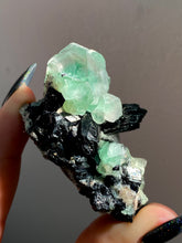 Load image into Gallery viewer, Erongo Fluorite, Lollipop Pocket AA
