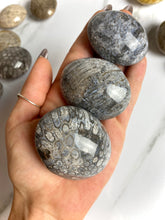 Load image into Gallery viewer, Fossilized Coral Palm Stones
