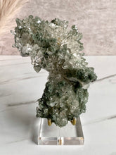 Load image into Gallery viewer, Collectors&#39; Himalayan Chlorite Cluster V
