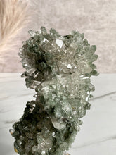 Load image into Gallery viewer, Collectors&#39; Himalayan Chlorite Cluster V
