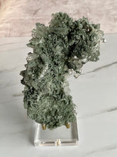 Load image into Gallery viewer, Collectors&#39; Himalayan Chlorite Cluster V
