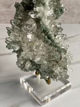 Load image into Gallery viewer, Collectors&#39; Himalayan Chlorite Cluster V
