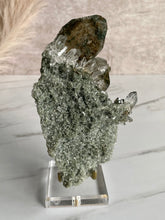 Load image into Gallery viewer, Collectors&#39; Rutile Himalayan Quartz F
