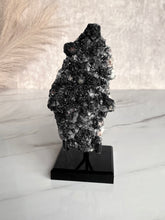 Load image into Gallery viewer, The Mineral Stand ™ - Midnight Edition - Size 4
