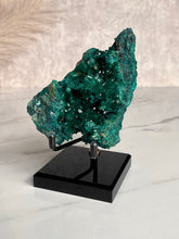 Load image into Gallery viewer, The Mineral Stand ™ - Midnight Edition - Size 4
