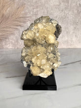 Load image into Gallery viewer, The Mineral Stand ™ - Midnight Edition - Size 5
