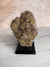 Load image into Gallery viewer, The Mineral Stand ™ - Midnight Edition - Size 5
