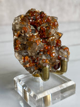 Load image into Gallery viewer, Spessartine garnet and smoky quartz cluster, garnet and smoky quartz, close up
