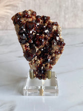 Load image into Gallery viewer, Spessartine garnet and smoky quartz cluster, garnet and smoky quartz,  front
