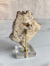 Load image into Gallery viewer, Spessartine garnet and smoky quartz cluster, garnet and smoky quartz,  back
