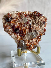 Load image into Gallery viewer, Spessartine garnet and smoky quartz cluster, garnet and smoky quartz, close up
