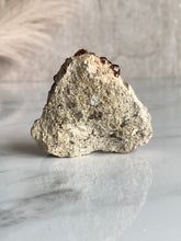 Load image into Gallery viewer, Spessartine garnet and smoky quartz cluster, garnet and smoky quartz,  back
