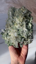 Load and play video in Gallery viewer, Collectors&#39; Himalayan Quartz Cluster Y
